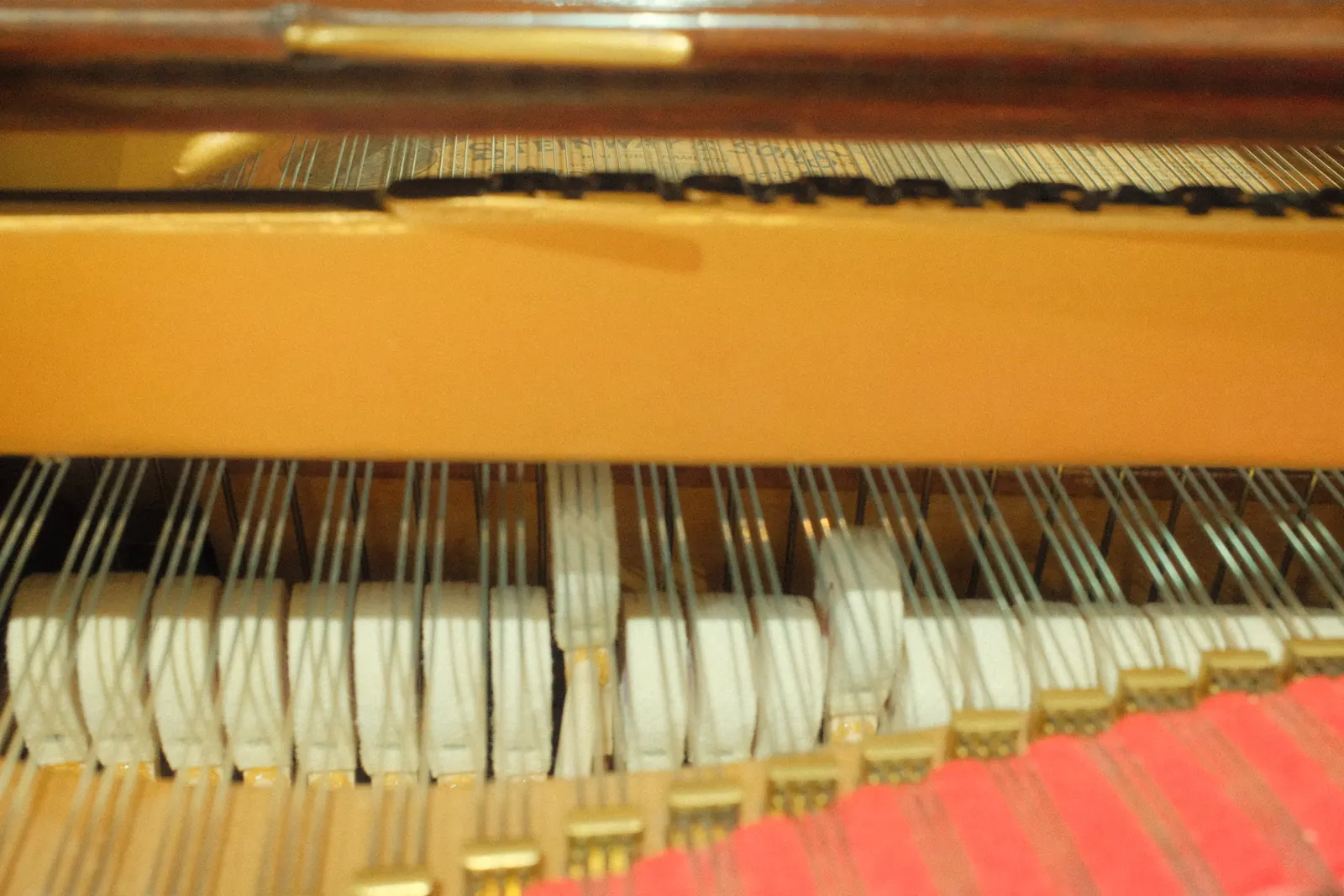 Inside the grand: the dampers and strings, photographed close in warm light