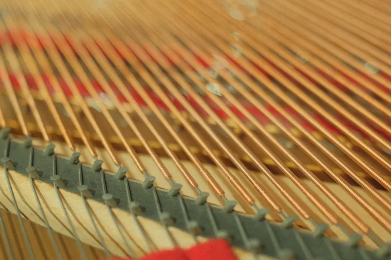 The dampers resting on the strings, red felt between them